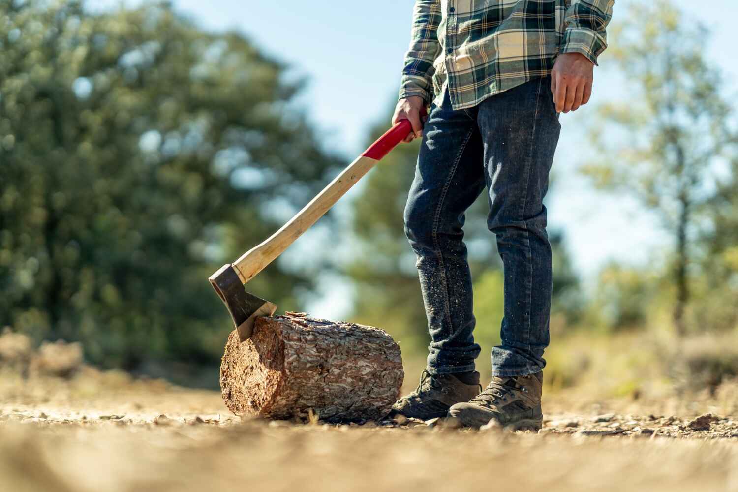 Trusted Whitehouse, TX Tree Service Experts